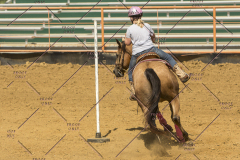 PCSChorseshow62214_IMG_5592