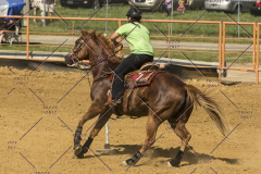 PCSChorseshow62214_IMG_5635