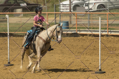 PCSChorseshow62214_IMG_5679