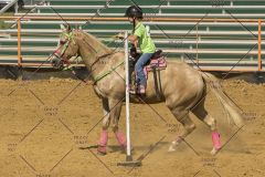 PCSChorseshow62214_IMG_5690