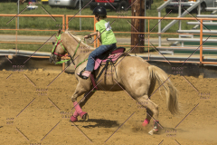 PCSChorseshow62214_IMG_5699