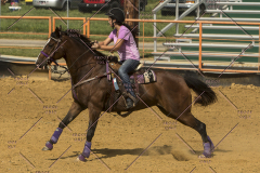 PCSChorseshow62214_IMG_5705