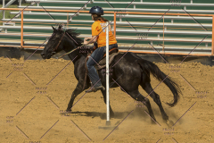 PCSChorseshow62214_IMG_5716