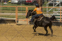 PCSChorseshow62214_IMG_5723