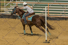 PCSChorseshow62214_IMG_5734