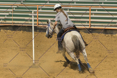 PCSChorseshow62214_IMG_5739