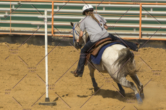 PCSChorseshow62214_IMG_5743