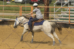 PCSChorseshow62214_IMG_5746