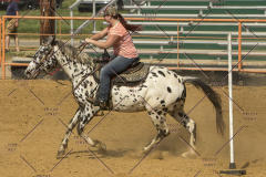 PCSChorseshow62214_IMG_5762