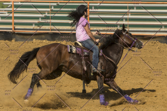 PCSChorseshow62214_IMG_5785