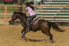 PCSChorseshow62214_IMG_5788