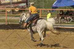 PCSChorseshow62214_IMG_5803