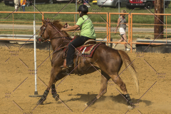 PCSChorseshow62214_IMG_5807