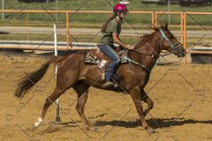 PCSChorseshow62214_IMG_5824
