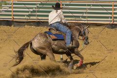 PCSChorseshow62214_IMG_5827