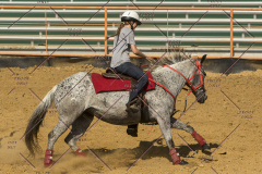 PCSChorseshow62214_IMG_5846