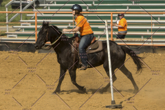PCSChorseshow62214_IMG_5854