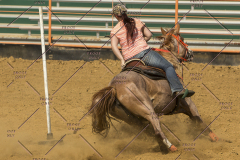 PCSChorseshow62214_IMG_5861