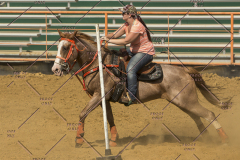 PCSChorseshow62214_IMG_5864