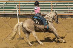 PCSChorseshow62214_IMG_5874