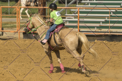 PCSChorseshow62214_IMG_5887