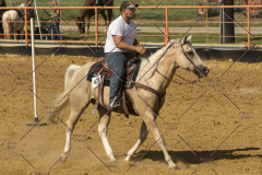 PCSChorseshow62214_IMG_5889