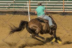 PCSChorseshow62214_IMG_5900