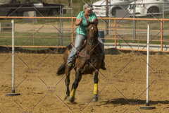 PCSChorseshow62214_IMG_5904
