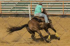 PCSChorseshow62214_IMG_5906