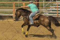 PCSChorseshow62214_IMG_5908