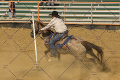 PCSChorseshow62214_IMG_5913