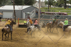 PCSChorseshow62214_IMG_5103