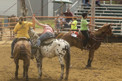 PCSChorseshow62214_IMG_5132