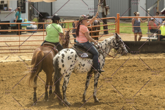 PCSChorseshow62214_IMG_5143