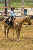 PCSChorseshow62214_IMG_4522