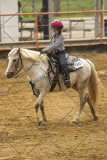 PCSChorseshow62214_IMG_4531