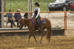 PCSChorseshow62214_IMG_4542