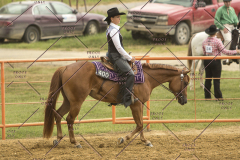 PCSChorseshow62214_IMG_4601