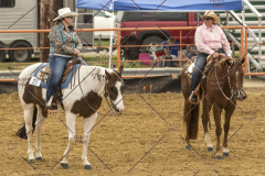 PCSChorseshow62214_IMG_4649