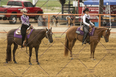 PCSChorseshow62214_IMG_4650