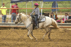 PCSChorseshow62214_IMG_4661