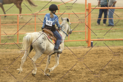 PCSChorseshow62214_IMG_4674