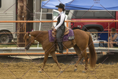 PCSChorseshow62214_IMG_4692