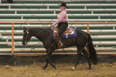PCSChorseshow62214_IMG_4699