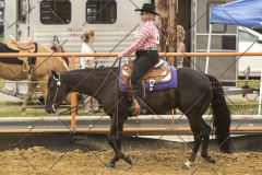 PCSChorseshow62214_IMG_4732