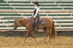 PCSChorseshow62214_IMG_4737