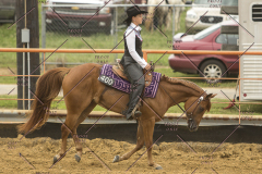 PCSChorseshow62214_IMG_4752