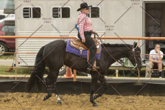 PCSChorseshow62214_IMG_4757