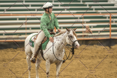 PCSChorseshow62214_IMG_4784