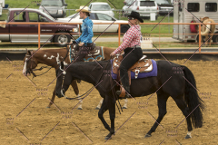 PCSChorseshow62214_IMG_4786